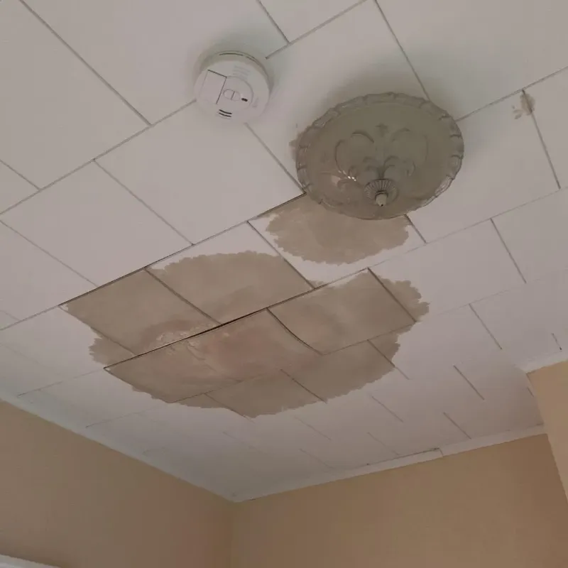 Ceiling Water Damage Repair in Monterey, TN