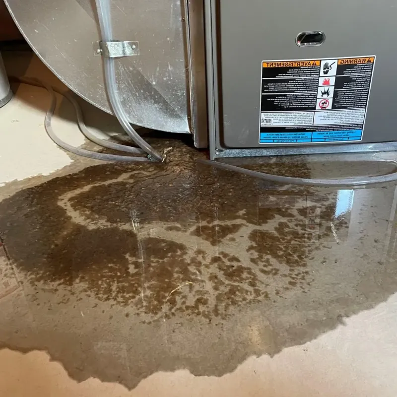 Pipe Burst and Leak Restoration in Monterey, TN