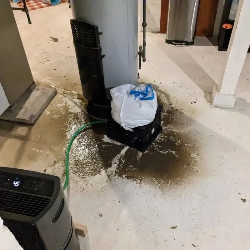 Sewage Backup Cleanup Service in Monterey, TN